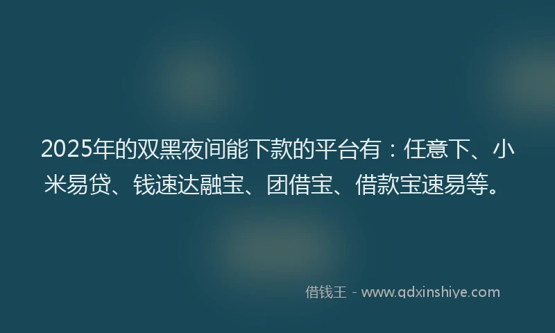 2025年的双黑夜间能下款的平台有：任意下、小米易贷、钱速达融宝、团借宝、借款宝速易等。