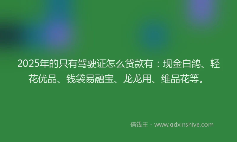 2025年的只有驾驶证怎么贷款有：现金白鸽、轻花优品、钱袋易融宝、龙龙用、维品花等。