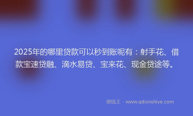 2025年的哪里贷款可以秒到账呢有：射手花、借款宝速贷融、滴水易贷、宝来花、现金贷途等。