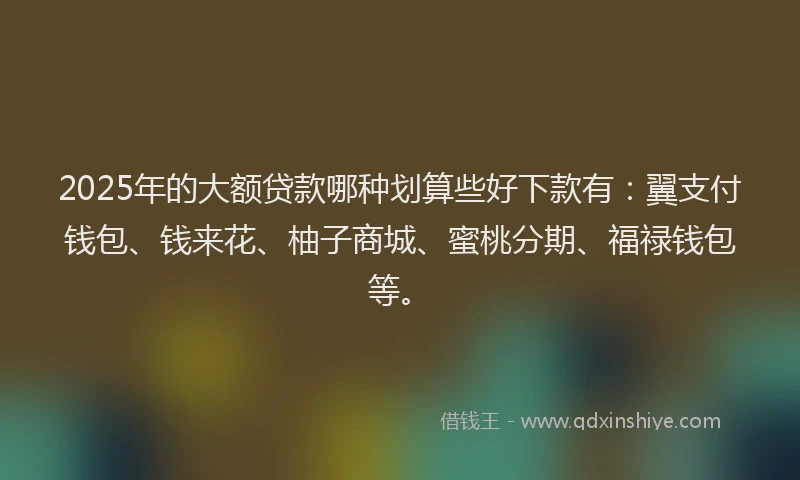 2025年的大额贷款哪种划算些好下款有：翼支付钱包、钱来花、柚子商城、蜜桃分期、福禄钱包等。