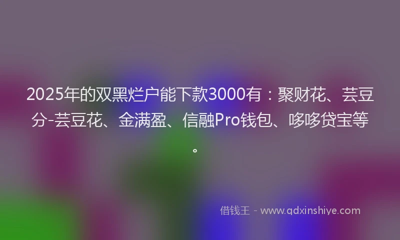 2025年的双黑烂户能下款3000有：聚财花、芸豆分-芸豆花、金满盈、信融Pro钱包、哆哆贷宝等。