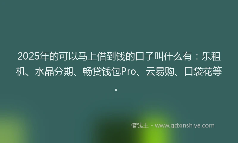 2025年的可以马上借到钱的口子叫什么有：乐租机、水晶分期、畅贷钱包Pro、云易购、口袋花等。