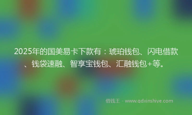 2025年的国美易卡下款有：琥珀钱包、闪电借款、钱袋速融、智享宝钱包、汇融钱包+等。