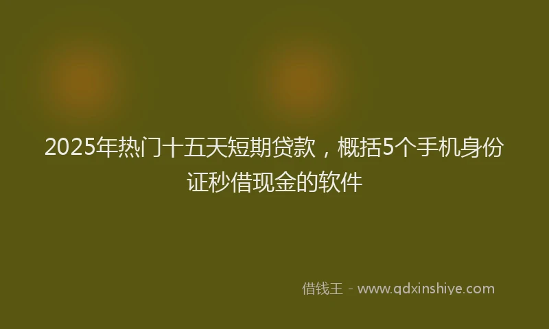 2025年热门十五天短期贷款，概括5个手机身份证秒借现金的软件