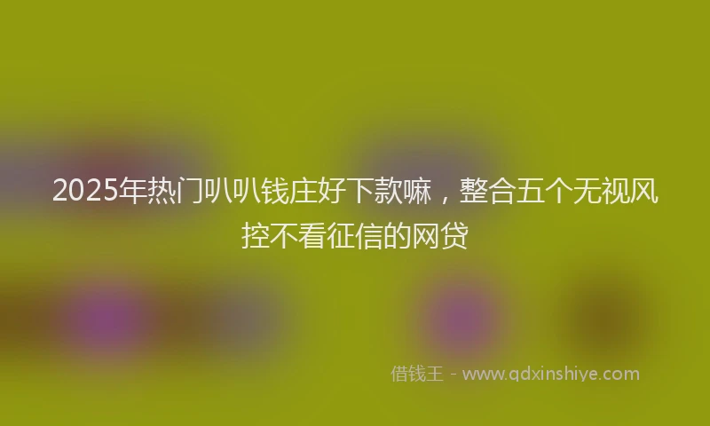 2025年热门叭叭钱庄好下款嘛，整合五个无视风控不看征信的网贷