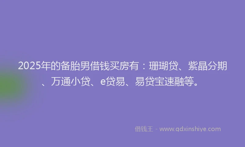 2025年的备胎男借钱买房有：珊瑚贷、紫晶分期、万通小贷、e贷易、易贷宝速融等。