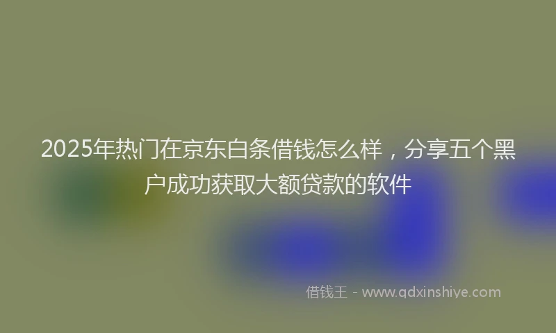 2025年热门在京东白条借钱怎么样，分享五个黑户成功获取大额贷款的软件