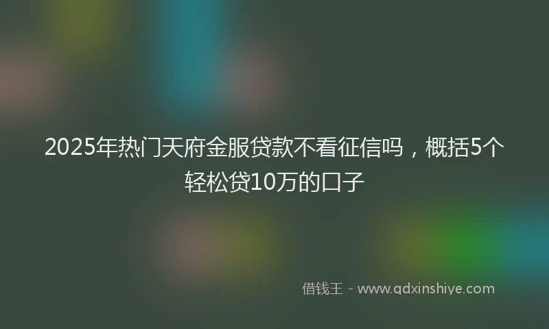2025年热门天府金服贷款不看征信吗，概括5个轻松贷10万的口子
