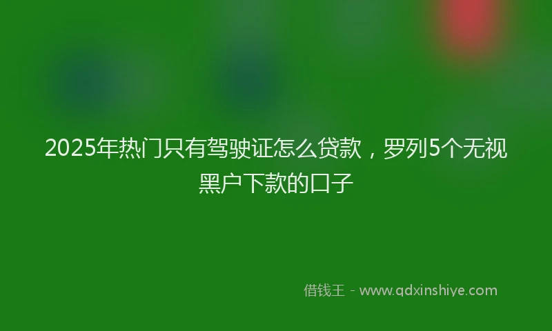 2025年热门只有驾驶证怎么贷款，罗列5个无视黑户下款的口子