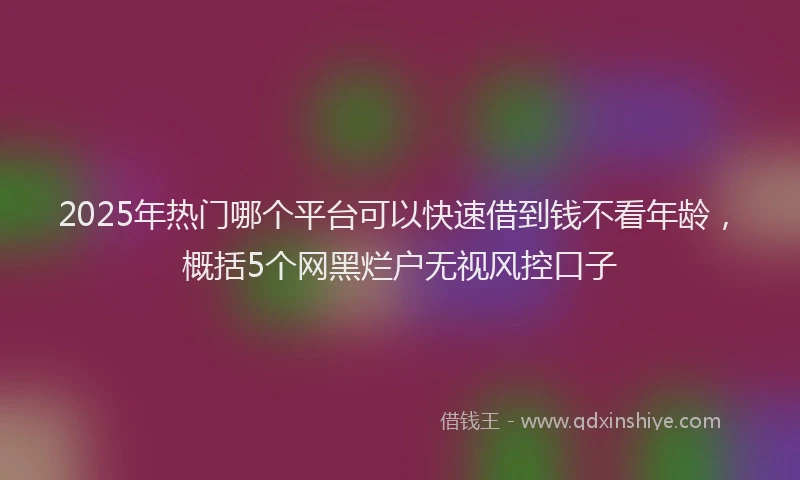 2025年热门哪个平台可以快速借到钱不看年龄，概括5个网黑烂户无视风控口子