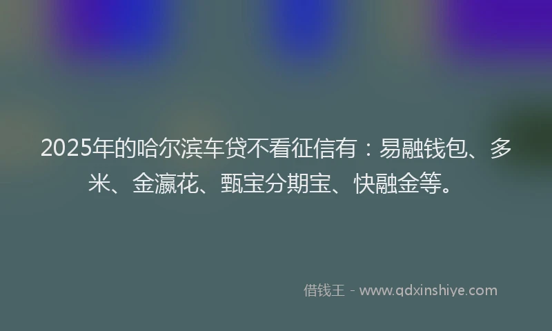 2025年的哈尔滨车贷不看征信有：易融钱包、多米、金瀛花、甄宝分期宝、快融金等。
