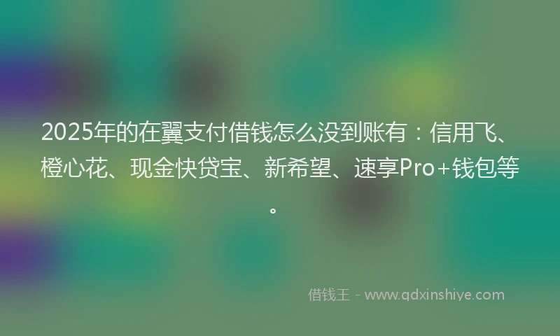 2025年的在翼支付借钱怎么没到账有：信用飞、橙心花、现金快贷宝、新希望、速享Pro+钱包等。