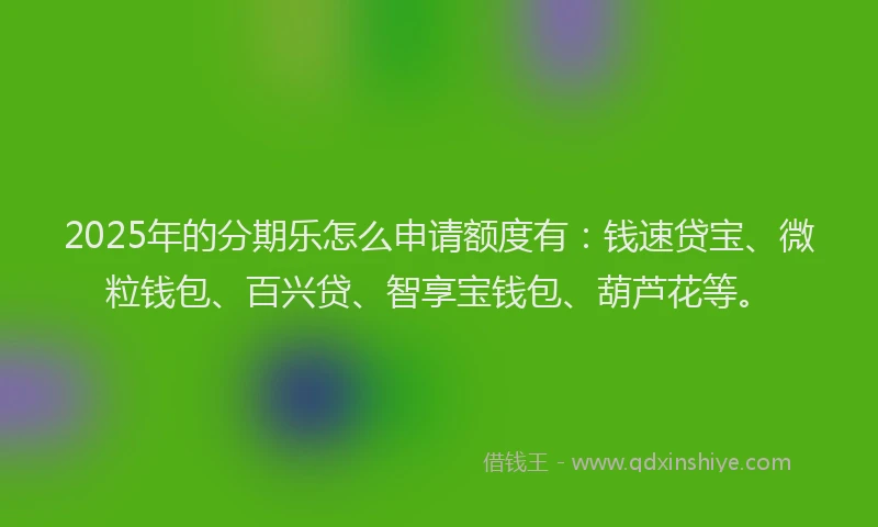 2025年的分期乐怎么申请额度有：钱速贷宝、微粒钱包、百兴贷、智享宝钱包、葫芦花等。