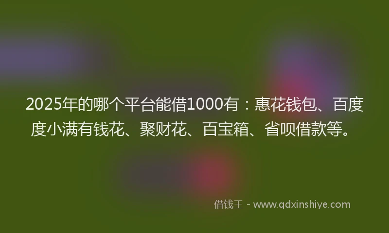 2025年的哪个平台能借1000有：惠花钱包、百度度小满有钱花、聚财花、百宝箱、省呗借款等。