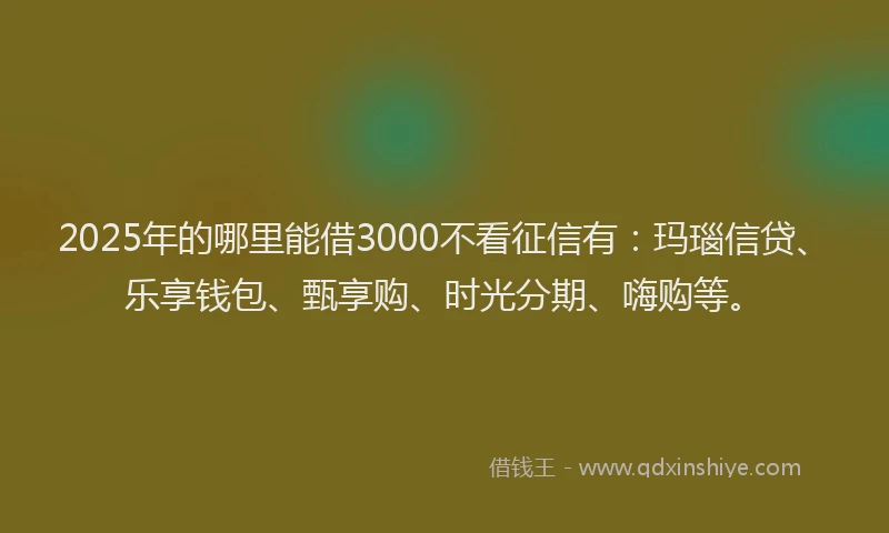 2025年的哪里能借3000不看征信有：玛瑙信贷、乐享钱包、甄享购、时光分期、嗨购等。