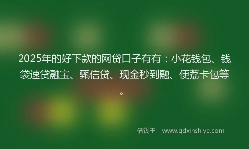 2025年的好下款的网贷口子有有：小花钱包、钱袋速贷融宝、甄信贷、现金秒到融、便荔卡包等。