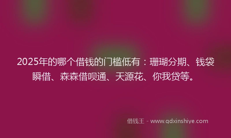 2025年的哪个借钱的门槛低有：珊瑚分期、钱袋瞬借、森森借呗通、天源花、你我贷等。