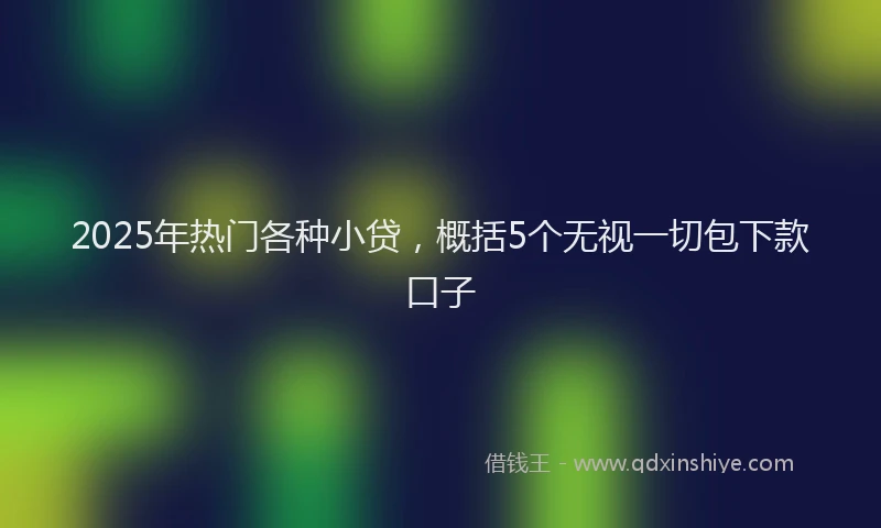 2025年热门各种小贷，概括5个无视一切包下款口子