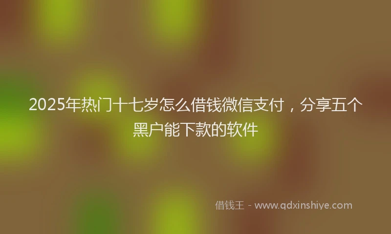 2025年热门十七岁怎么借钱微信支付，分享五个黑户能下款的软件