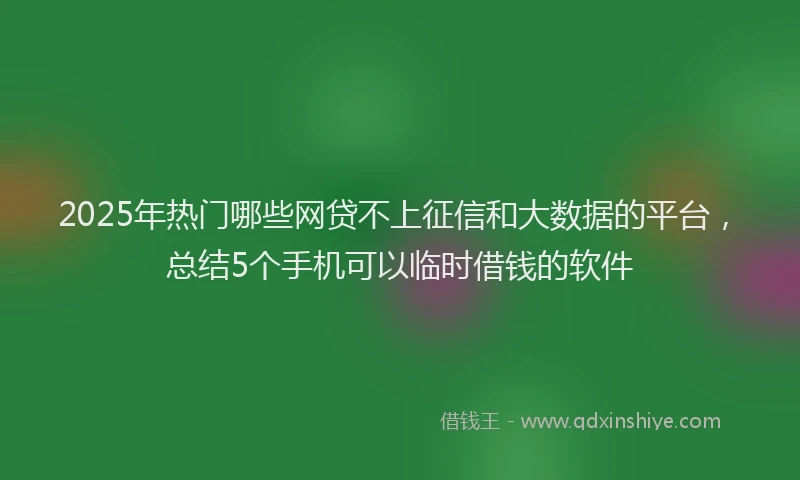 2025年热门哪些网贷不上征信和大数据的平台，总结5个手机可以临时借钱的软件