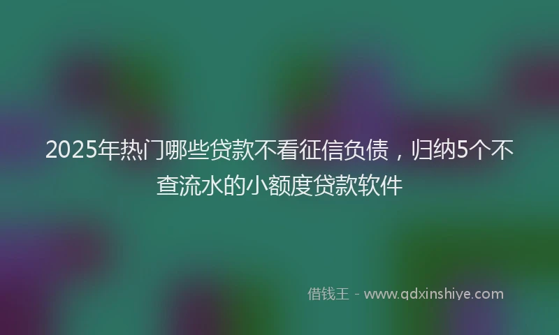 2025年热门哪些贷款不看征信负债，归纳5个不查流水的小额度贷款软件