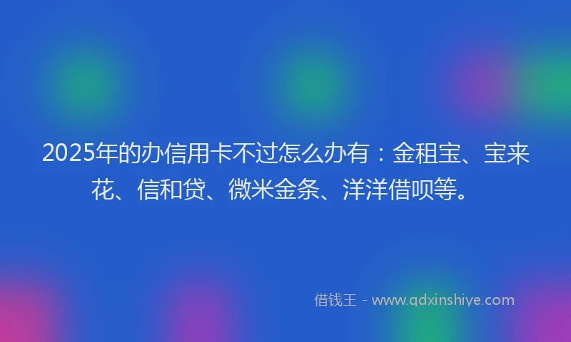 2025年的办信用卡不过怎么办有：金租宝、宝来花、信和贷、微米金条、洋洋借呗等。