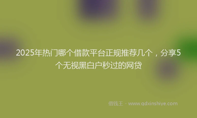 2025年热门哪个借款平台正规推荐几个，分享5个无视黑白户秒过的网贷