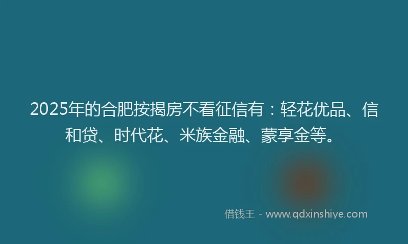2025年的合肥按揭房不看征信有：轻花优品、信和贷、时代花、米族金融、蒙享金等。