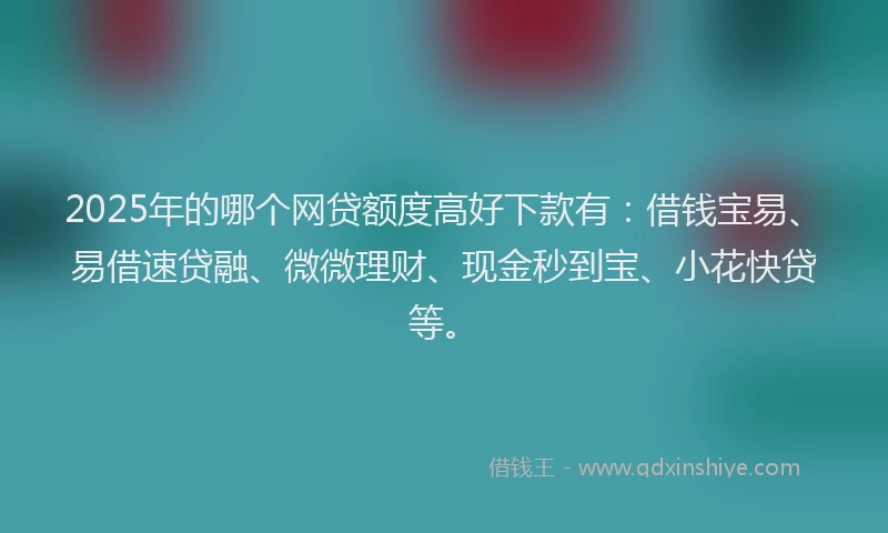 2025年的哪个网贷额度高好下款有：借钱宝易、易借速贷融、微微理财、现金秒到宝、小花快贷等。