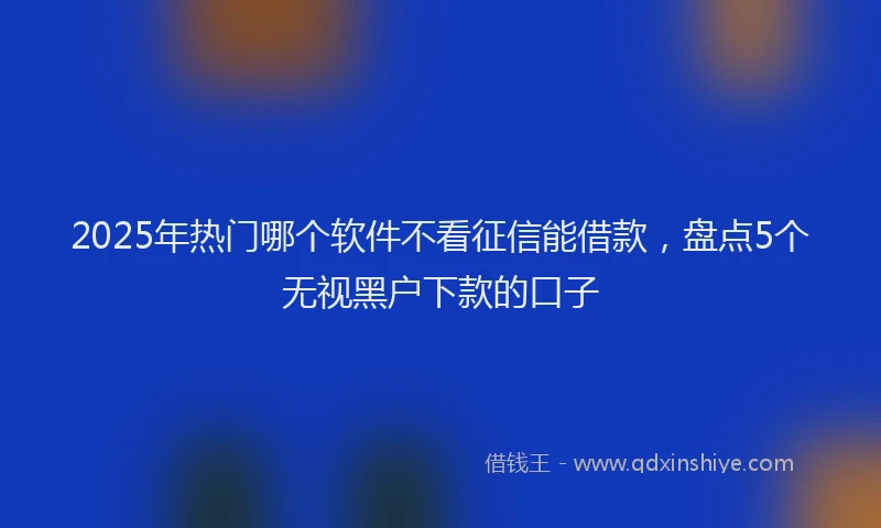 2025年热门哪个软件不看征信能借款，盘点5个无视黑户下款的口子