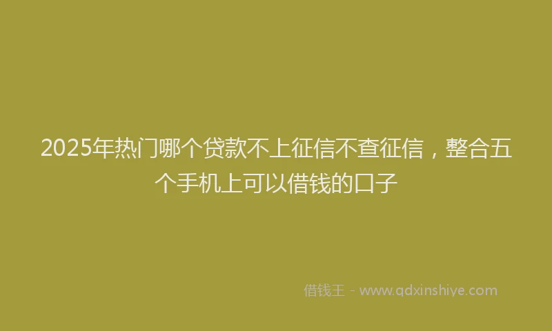 2025年热门哪个贷款不上征信不查征信，整合五个手机上可以借钱的口子