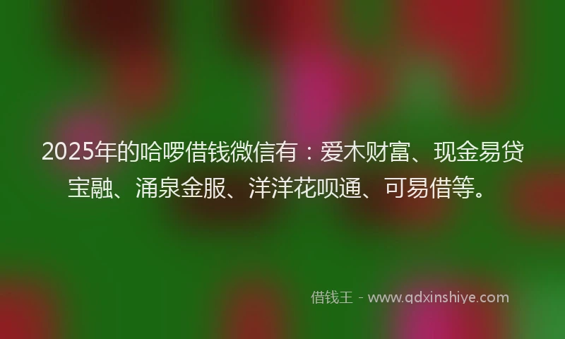 2025年的哈啰借钱微信有：爱木财富、现金易贷宝融、涌泉金服、洋洋花呗通、可易借等。