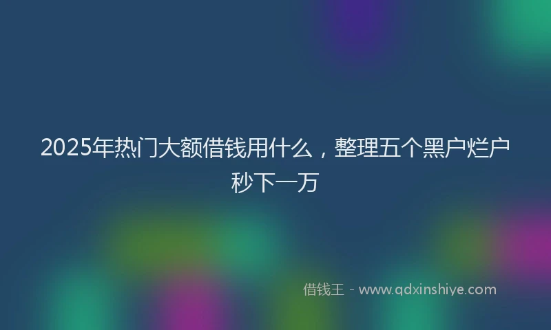 2025年热门大额借钱用什么，整理五个黑户烂户秒下一万