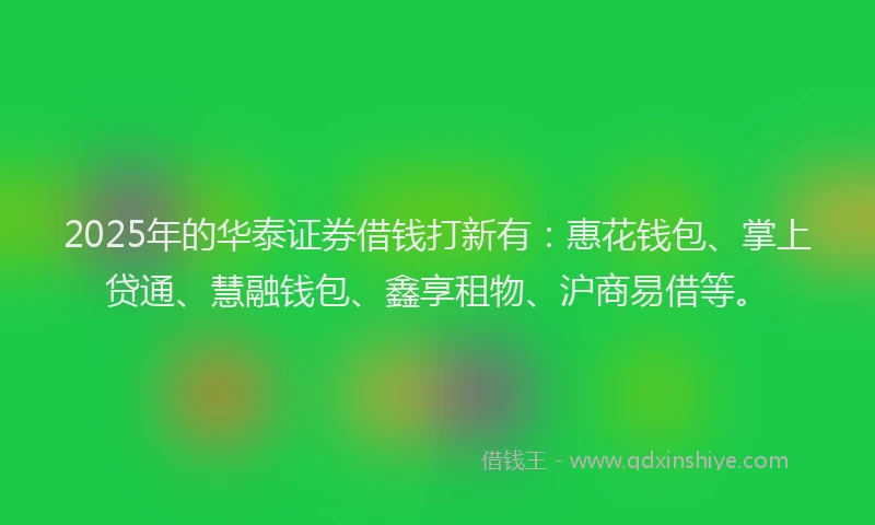 2025年的华泰证券借钱打新有：惠花钱包、掌上贷通、慧融钱包、鑫享租物、沪商易借等。
