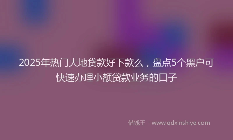 2025年热门大地贷款好下款么，盘点5个黑户可快速办理小额贷款业务的口子