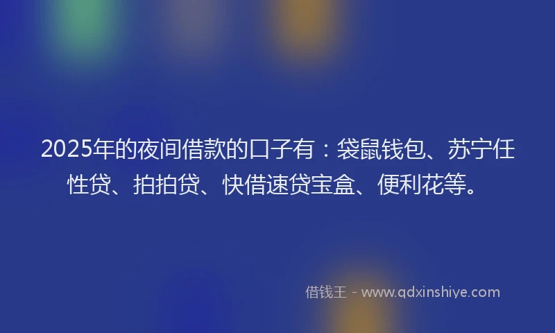 2025年的夜间借款的口子有：袋鼠钱包、苏宁任性贷、拍拍贷、快借速贷宝盒、便利花等。