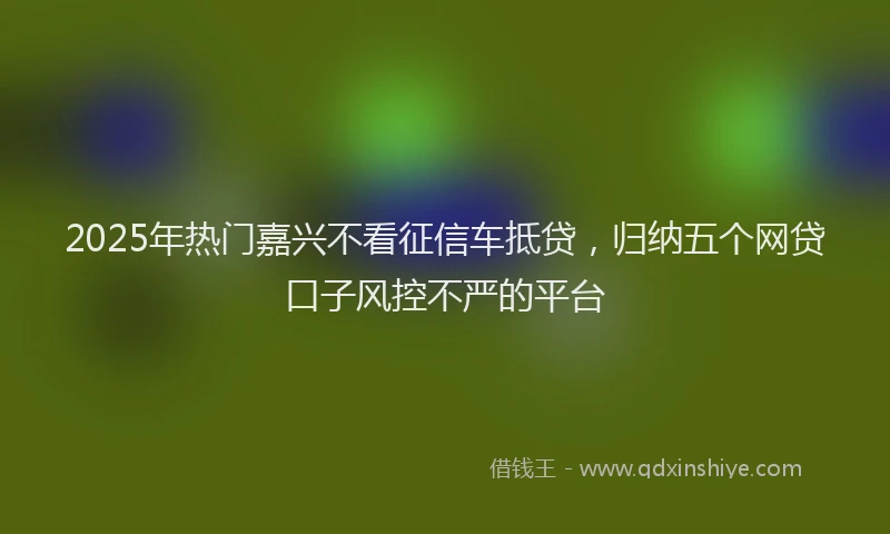 2025年热门嘉兴不看征信车抵贷，归纳五个网贷口子风控不严的平台