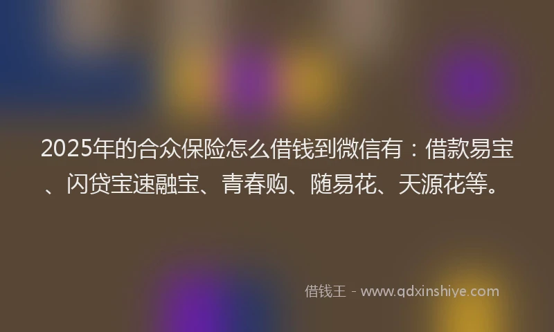2025年的合众保险怎么借钱到微信有：借款易宝、闪贷宝速融宝、青春购、随易花、天源花等。