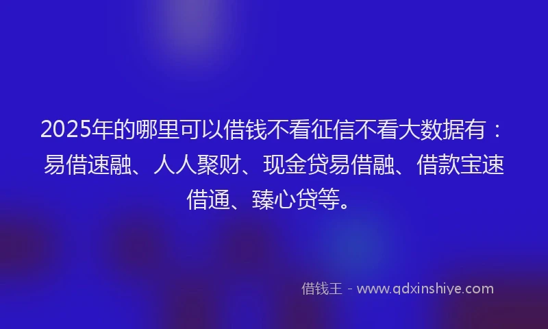 2025年的哪里可以借钱不看征信不看大数据有：易借速融、人人聚财、现金贷易借融、借款宝速借通、臻心贷等。
