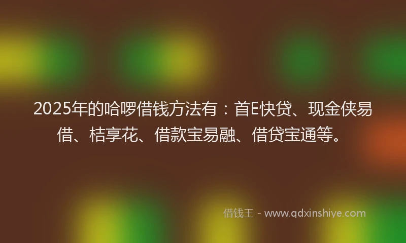 2025年的哈啰借钱方法有：首E快贷、现金侠易借、桔享花、借款宝易融、借贷宝通等。