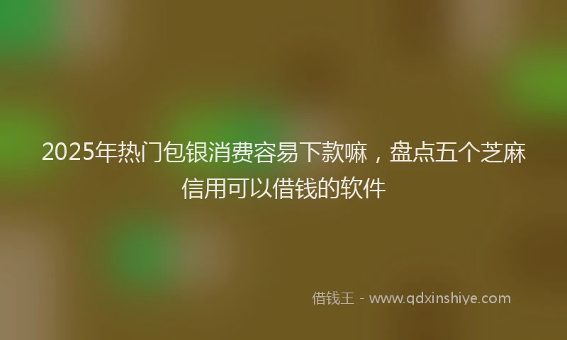 2025年热门包银消费容易下款嘛，盘点五个芝麻信用可以借钱的软件