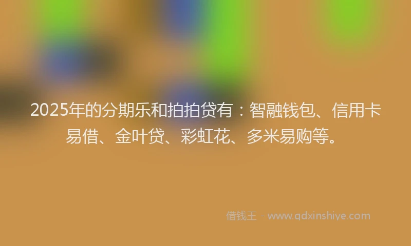 2025年的分期乐和拍拍贷有：智融钱包、信用卡易借、金叶贷、彩虹花、多米易购等。