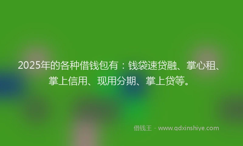 2025年的各种借钱包有：钱袋速贷融、掌心租、掌上信用、现用分期、掌上贷等。