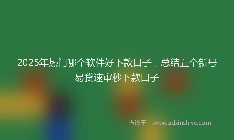 2025年热门哪个软件好下款口子，总结五个新号易贷速审秒下款口子