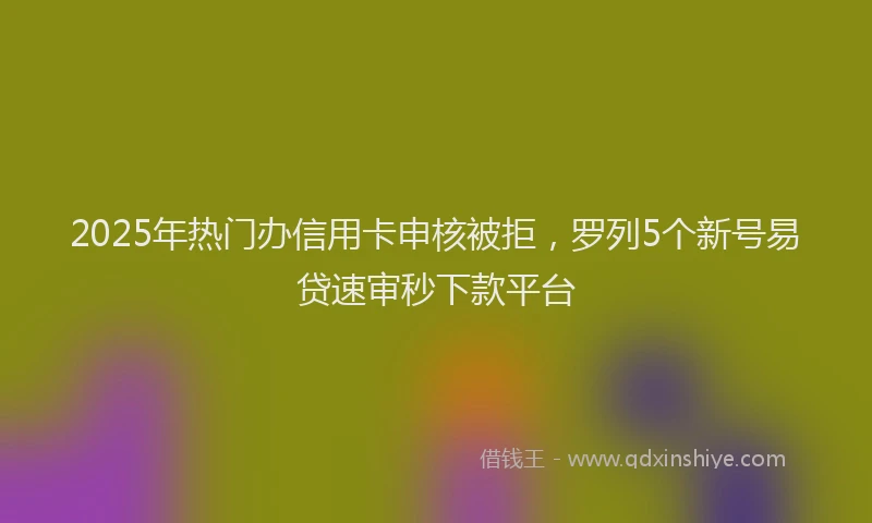 2025年热门办信用卡申核被拒，罗列5个新号易贷速审秒下款平台