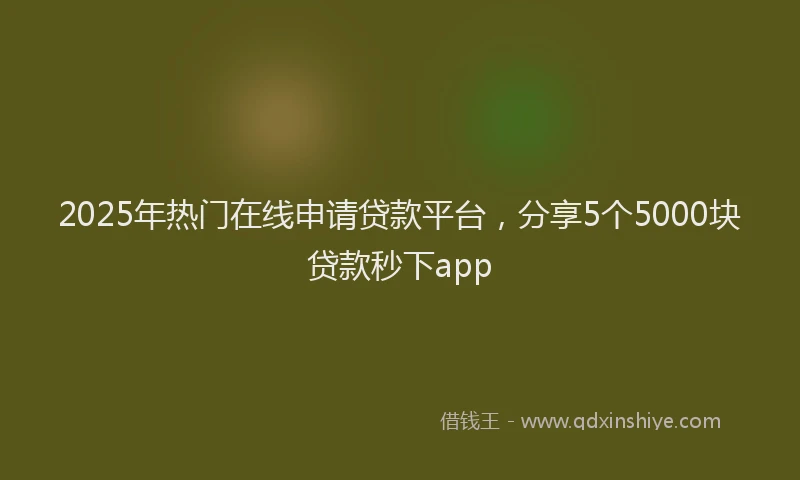 2025年热门在线申请贷款平台，分享5个5000块贷款秒下app