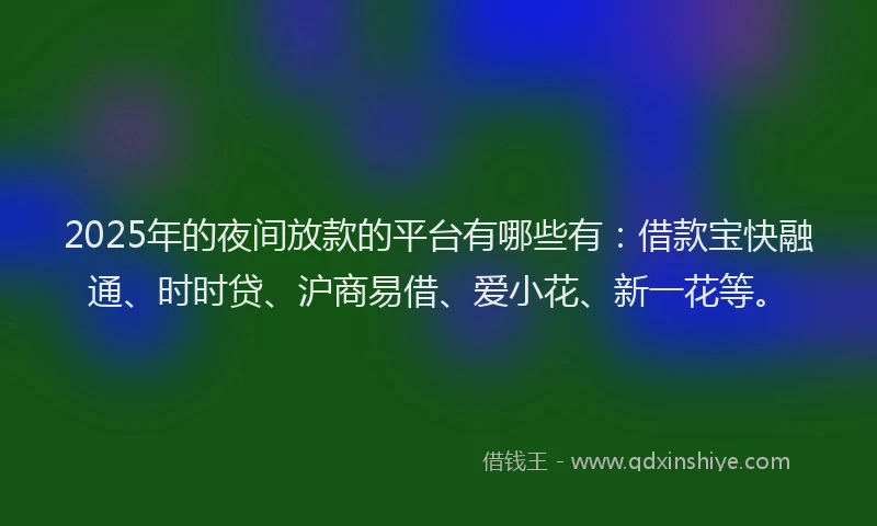 2025年的夜间放款的平台有哪些有：借款宝快融通、时时贷、沪商易借、爱小花、新一花等。