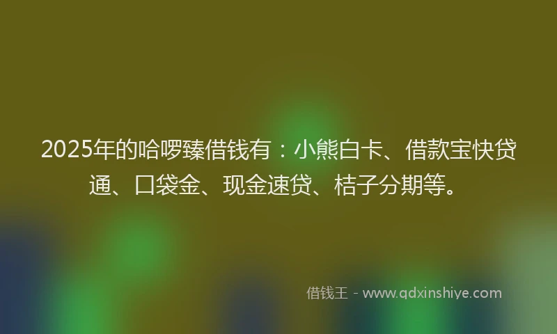 2025年的哈啰臻借钱有：小熊白卡、借款宝快贷通、口袋金、现金速贷、桔子分期等。