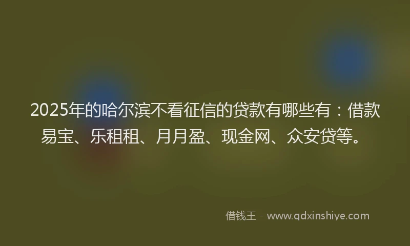 2025年的哈尔滨不看征信的贷款有哪些有：借款易宝、乐租租、月月盈、现金网、众安贷等。