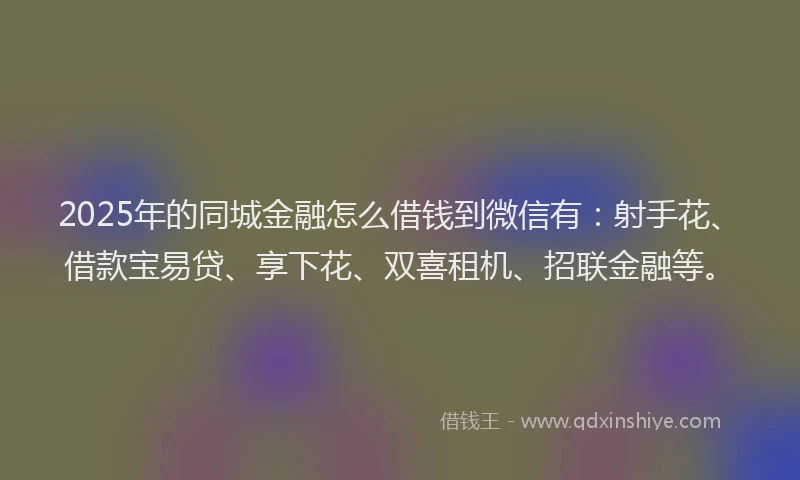 2025年的同城金融怎么借钱到微信有：射手花、借款宝易贷、享下花、双喜租机、招联金融等。